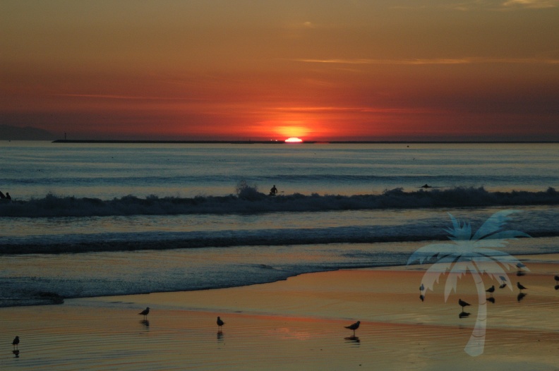 Sunset Surfers -  Seal Beach.jpg