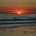 Sunset Surfers -  Seal Beach