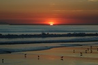 Sunset Surfers -  Seal Beach