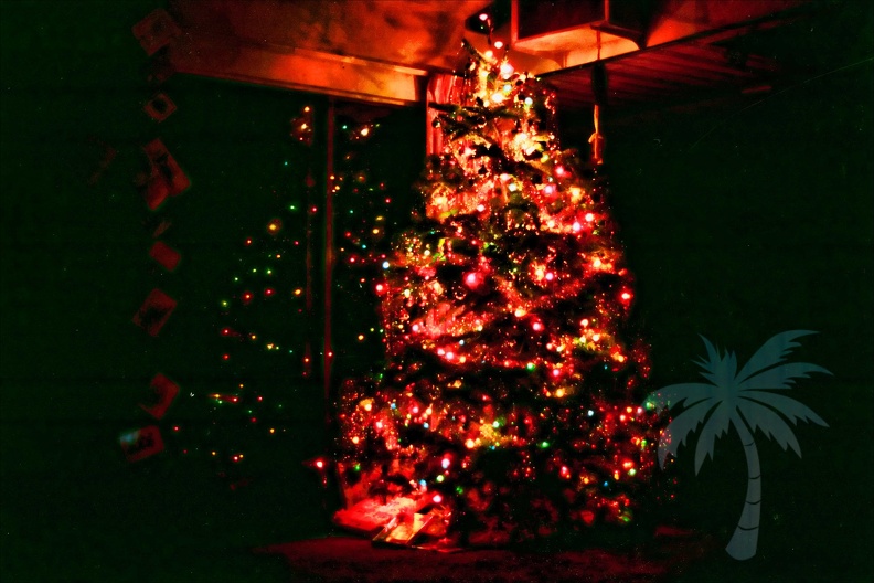 TLC Christmas Tree - enhanced.jpg