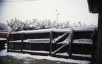 1995 - Snow Day - KWC Plano