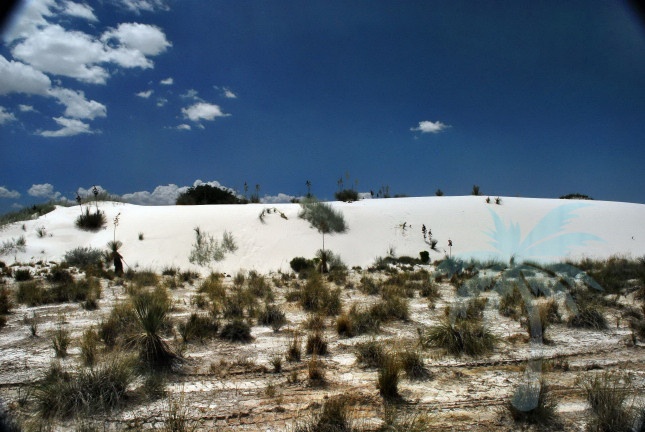 White Sands Dunes0002.jpg