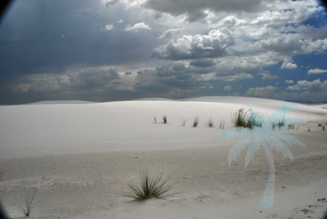 White Sands Dunes0003