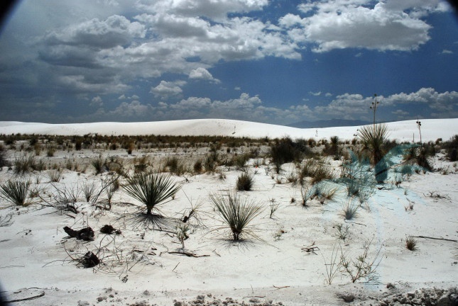 White Sands Dunes0005.jpg