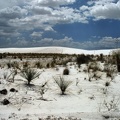 White Sands Dunes0005