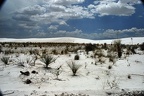 White Sands Dunes0005