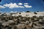 White Sands Dunes0009